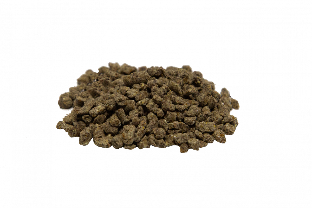 Каустарт